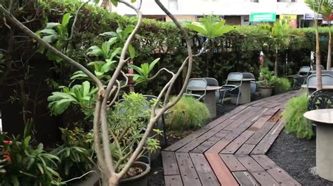 Mocha, Bodakdev: Cafe, eaterie, Lounge And an .